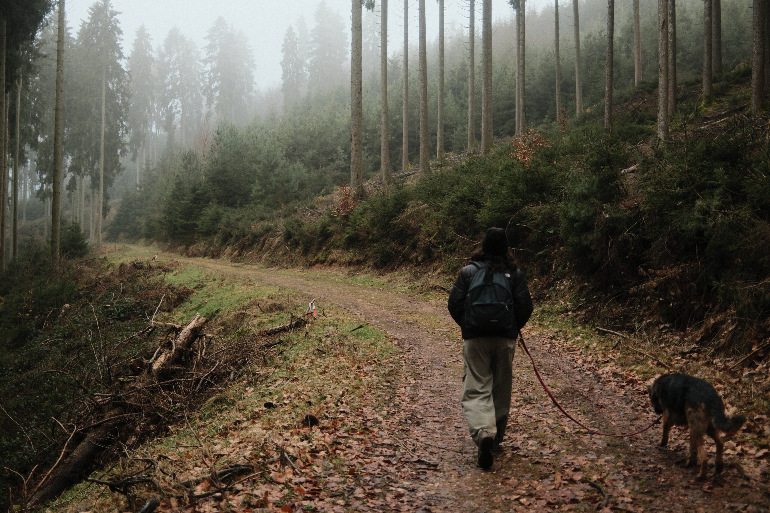 Der Sinn meines Lebens
